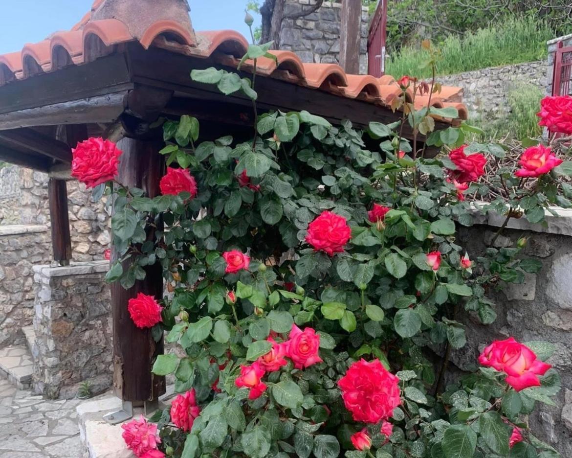 Terra Petra Villa at Psari Trikolonon Gortynia Psárion Exteriör bild