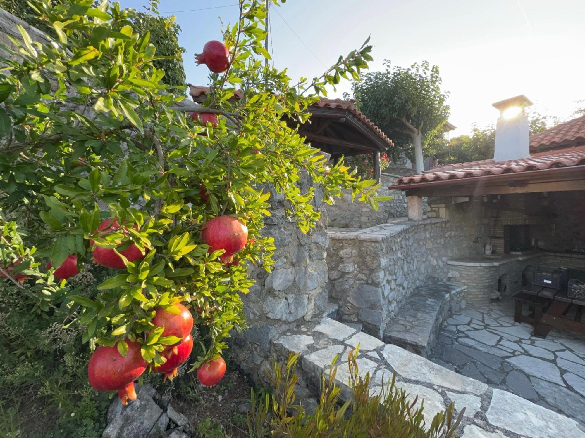 Terra Petra Villa at Psari Trikolonon Gortynia Psárion Exteriör bild